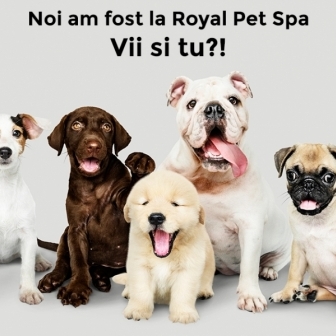 Royal Pet Spa - Salon cosmetica si ingrijire canina