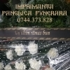 Aparat personalizare mesaj condoleante panglica jerba funerara