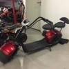 Big Wheel Citycoco  9.5inch (harley electric scooter)