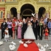 Inchiriez porumbei albi pt. nunti, Craiova