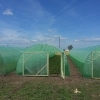 Solar legume si flori 24 m lungime /4 m deschidere/ 2,6 m inaltime